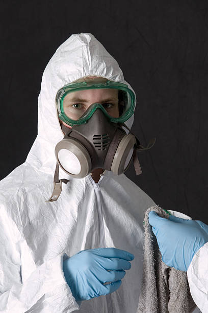Best HVAC Mold Inspection and Cleaning  in White Sulphur Springs, WV